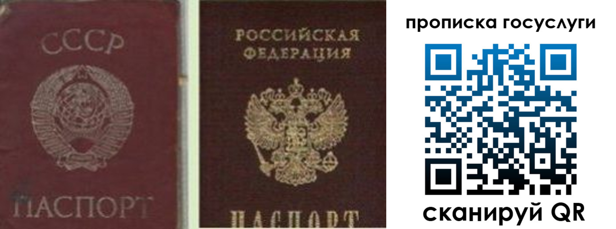 временная регистрация 2025 в Похвистнево